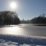 Bonne Année 2