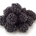 Blackberries-on-white-006