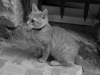 DSC03123