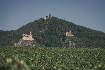 202508 - Alsace -127