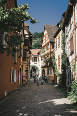 202508 - Alsace -30