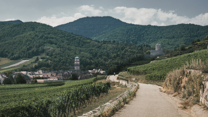 202508 - Alsace -24