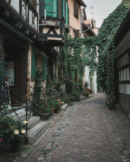 202508 - Alsace -58