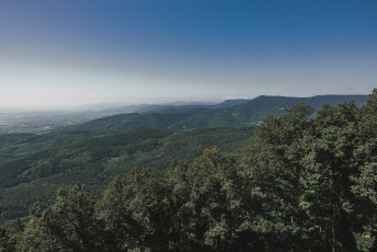 202508 - Alsace -14