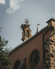 202508 - Alsace -62