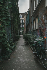 20251017 - Amsterdam -72