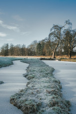 20260103-Hiver_Parc_Chateau_Rambouillet-51
