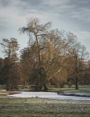 20260103-Hiver_Parc_Chateau_Rambouillet-37