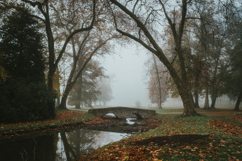 Rambouillet-Automne-15