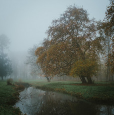 Rambouillet-Automne-11