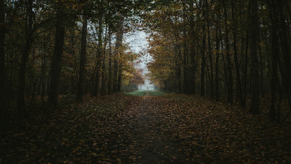 Rambouillet-Automne-43