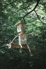 202508 - Foret Noire -43
