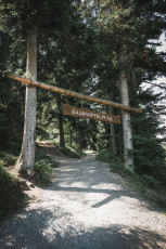 202508 - Foret Noire -31