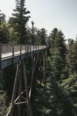 202508 - Foret Noire -35