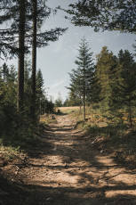 202508 - Foret Noire -82