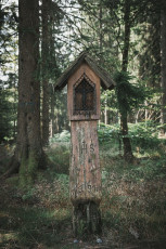 202508 - Foret Noire -85