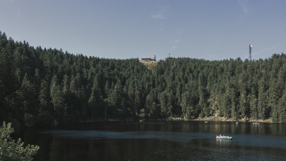 202508 - Foret Noire -57