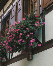 202508 - Alsace -59