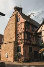 202508 - Alsace -57