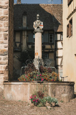 202508 - Alsace -117