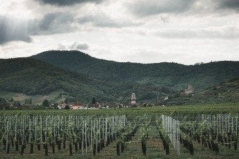 202508 - Alsace -137