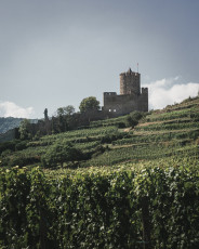 202508 - Alsace -25