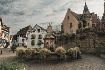 202508 - Alsace -66