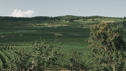202508 - Alsace -2