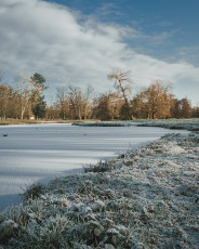 20260103-Hiver_Parc_Chateau_Rambouillet-53