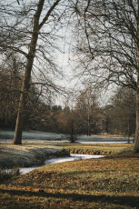 20260103-Hiver_Parc_Chateau_Rambouillet-39