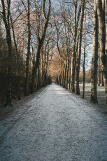 20260103-Hiver_Parc_Chateau_Rambouillet-25