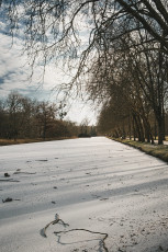 20260103-Hiver_Parc_Chateau_Rambouillet-57