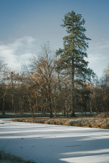 20260103-Hiver_Parc_Chateau_Rambouillet-30