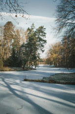 20260103-Hiver_Parc_Chateau_Rambouillet-34
