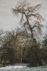 20260103-Hiver_Parc_Chateau_Rambouillet-27