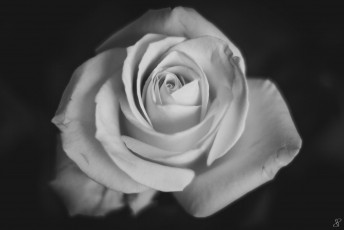 2016-04