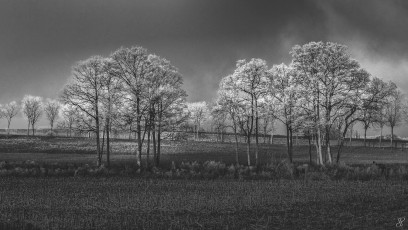 2016-03