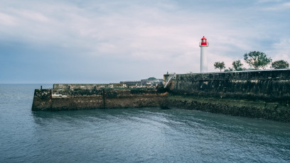 DSCF7517