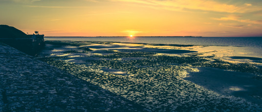 DSCF6996
