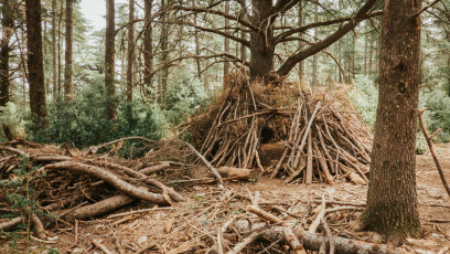 Foret des Cedres-6