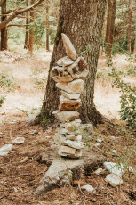 Foret des Cedres-10