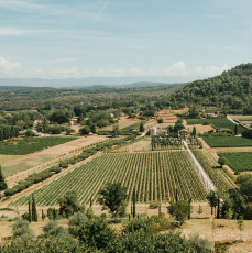 Menerbes-2