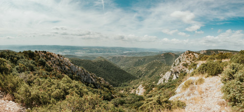 Foret des Cedres-12