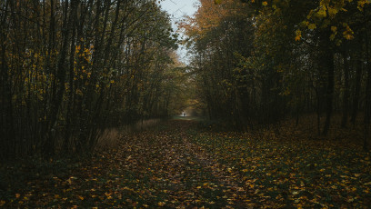 Rambouillet-Automne-41