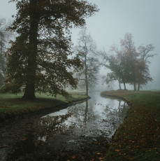 Rambouillet-Automne-17