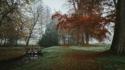Rambouillet-Automne-37