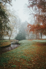 Rambouillet-Automne-28