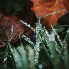 Rambouillet-Automne-23