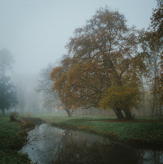 Rambouillet-Automne-11