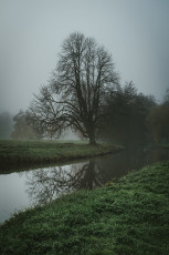 Rambouillet-Automne-8